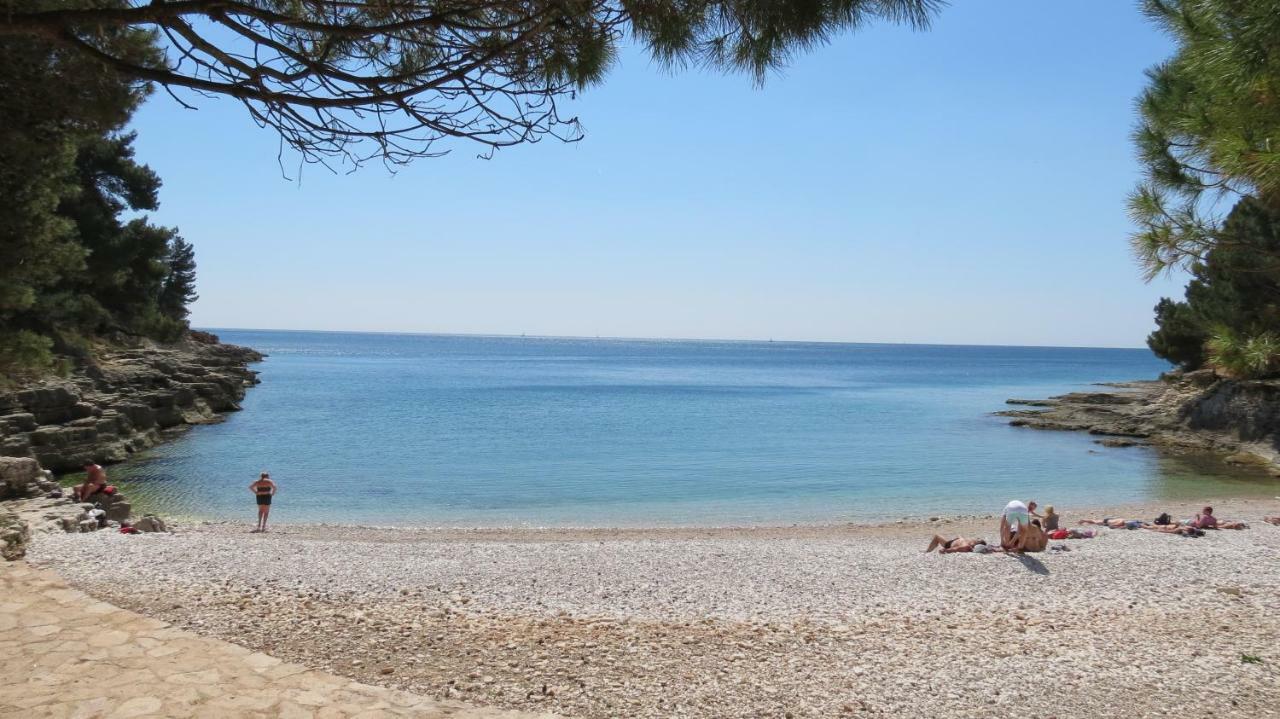 Apartament Pineta25 *