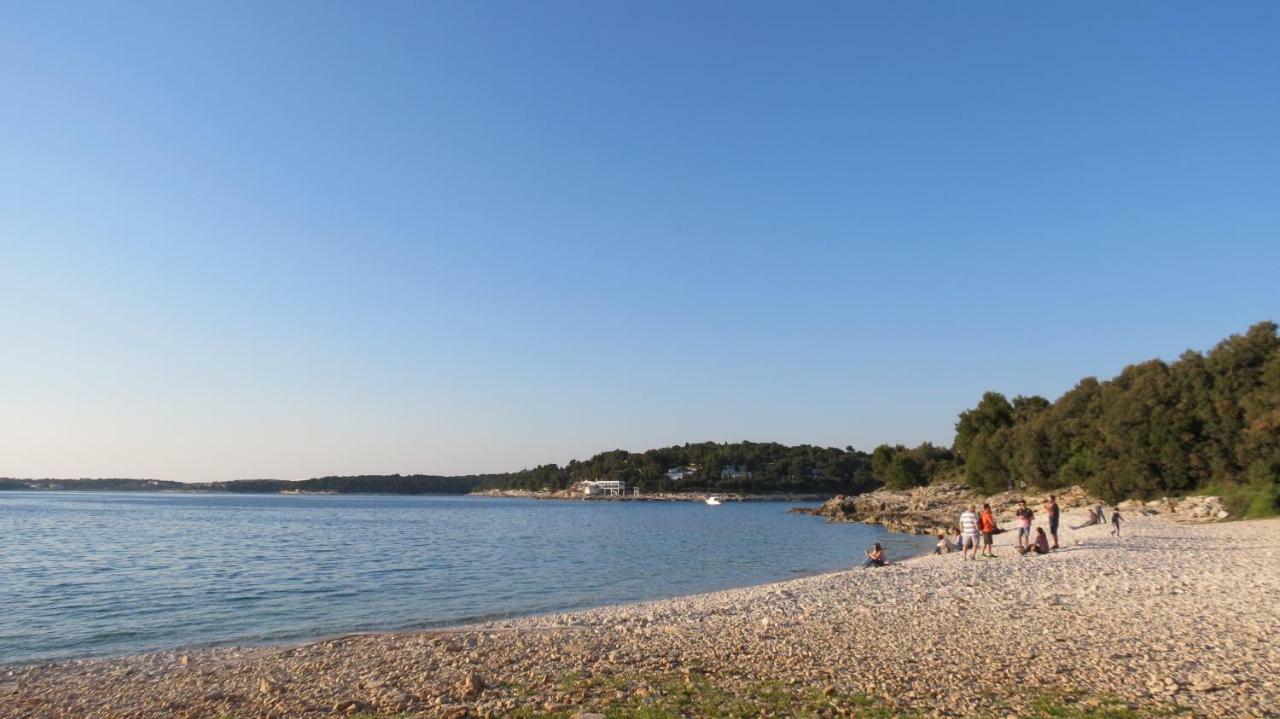 Pineta25 *